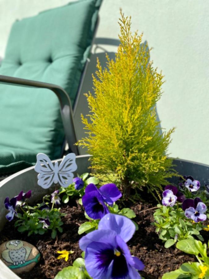 Apartmany U Rybnicka Pribraz Exteriör bild